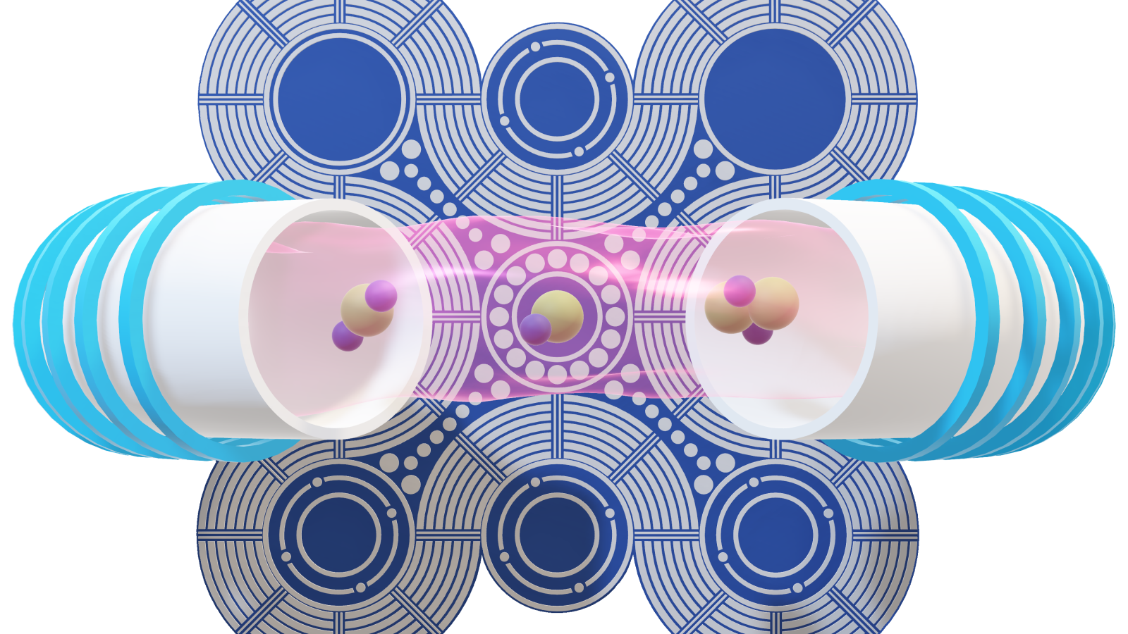 An illustration of BNT. 