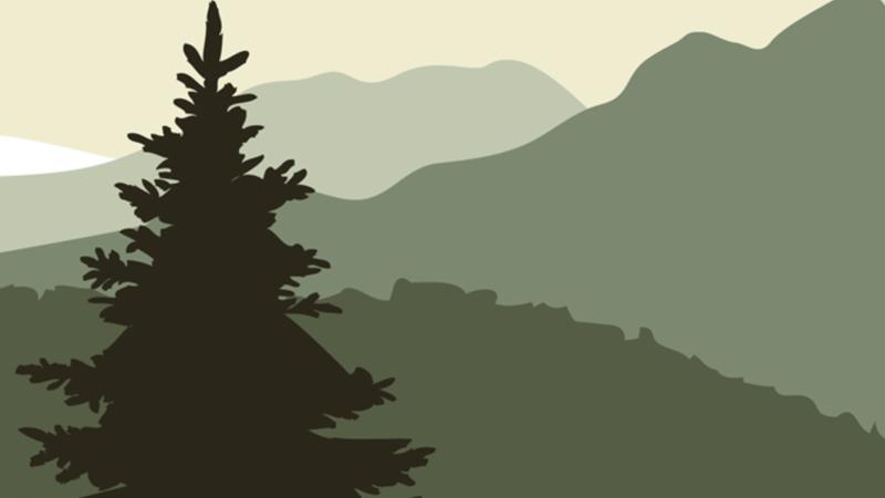 Mountain forest