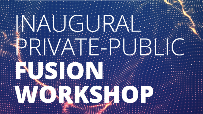 Inaugural Private-Public Fusion Workshop at the ITER