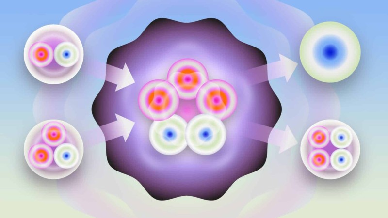 Fusion Nuclei