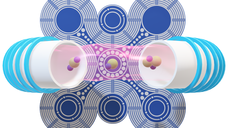 An illustration of BNT. 