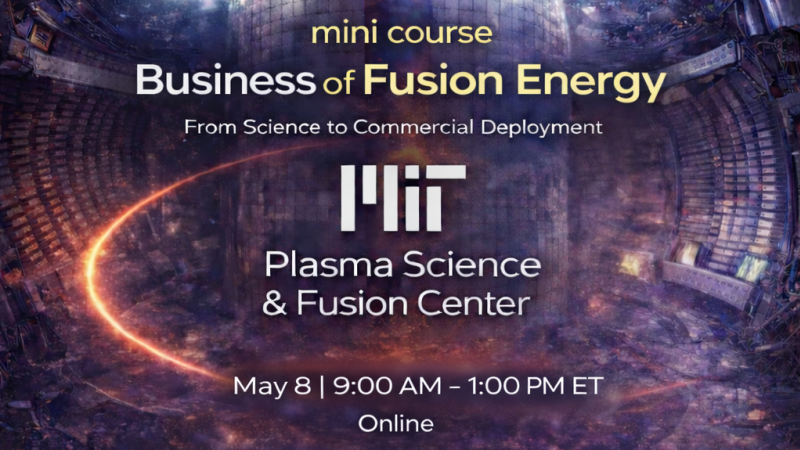 Business of Fusion Energy