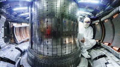 Person in fusion reactor