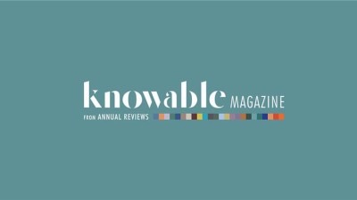 Knowable Magazine