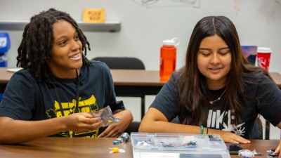 PPPL’s Plasma Pathways Summer School